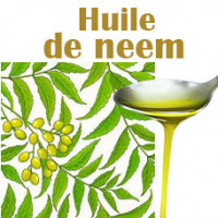 Ligne à l'huile de neem